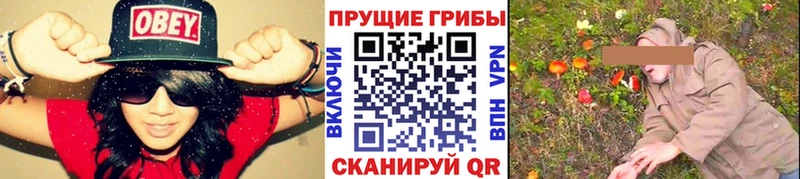 как найти закладки  Добрянка  KRAKEN ONION  Псилоцибиновые грибы Cubensis 