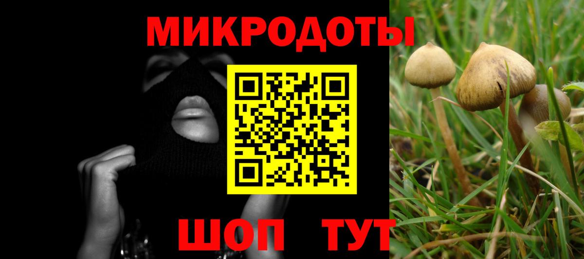 Псилоцибиновые грибы Cubensis  Псилоцибиновые грибы Cubensis  Добрянка  Вход с VPN 